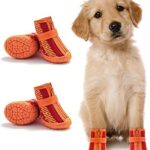 Zapatos para perros pequenos